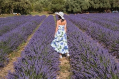 girl in walks in a field of lavender. View from the back