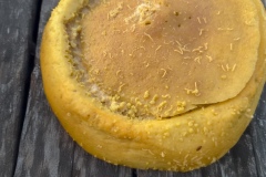 casu marzu or rotten cheese - typical Sardinian cheese containing live insect larvae that create a pungent aroma