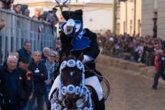 sartiglia-202346