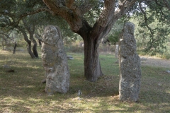 menhir-goni10