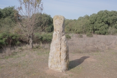 menhir-goni12