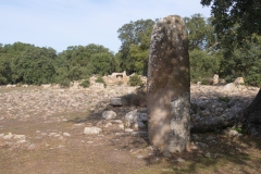 menhir-goni9