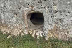 Domus De Janas of Museddu, Cheremule, Sardinia