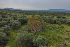 domus de janas and nuraghe of santu Barbara ancient nuragic tombs in Bauladu sardinia central