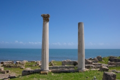 tharros11