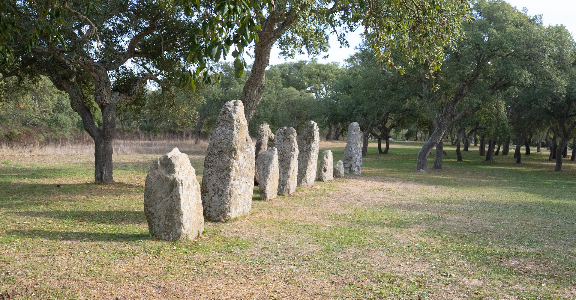 menhir goni